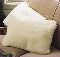 Wool Pillow Cover